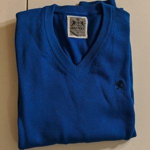 Express Solid True / Royal Blue V-Neck Sweater 16